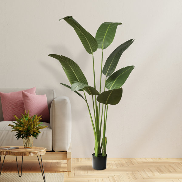 Primrue Faux Banana Leaf Plant in Pot & Reviews Wayfair